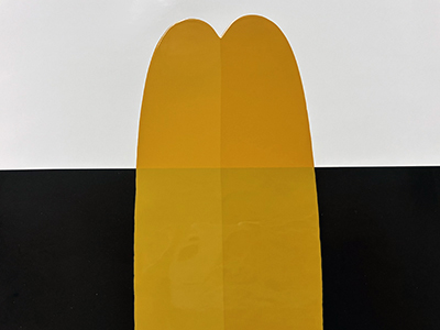 白黒試験紙へ展色後